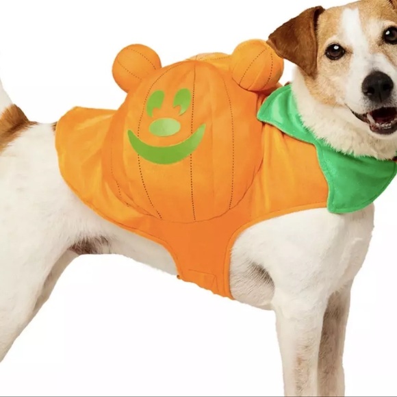 Mickey Mouse Pumpkin Dog Costume Halloween Glow In The Dark Disney Store NEW - Picture 7 of 10